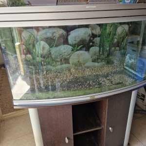 Aquarium 200L aquadisio