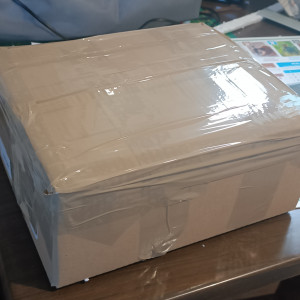 Crevettes néocaridina orange