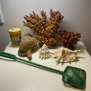 Lot de décoration aquarium marin
