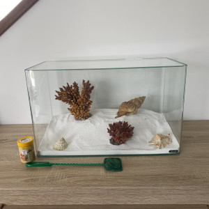 Lot de décoration aquarium marin
