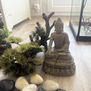 Décoration aquarium