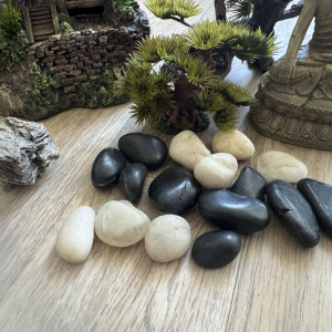 Décoration aquarium