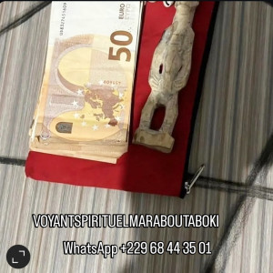 JE CHERCHE UN VRAI PORTEFEUILLE MAGIQUE PUISSANT CHEZ VOYANT MARABOUT ABOKI