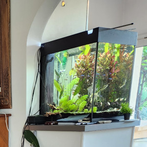 Vend aquarium jewel de 120 litres