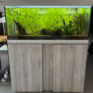 Aquarium 180L + Pompe 400L