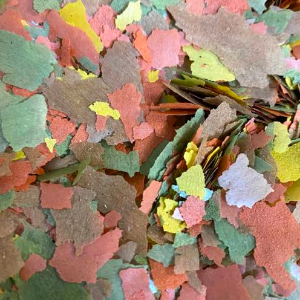 Paillettes Mix TROPICAL 1 KG