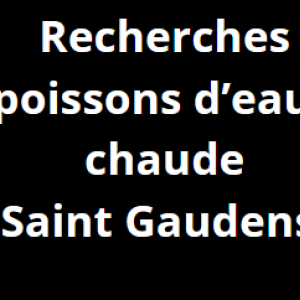 Recherche poissons d'eau chaude vers saint gaudens/ Montréjeau