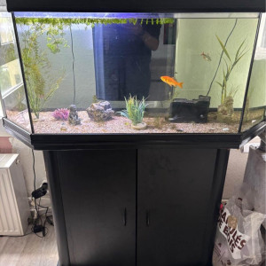 Aquarium