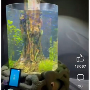 Aquarium BIORB Collonne de 30L