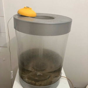 Aquarium BIORB Collonne de 30L
