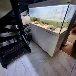 Aquarium 300l avec pompe