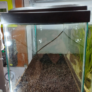 Aquarium 20L equipé et sol technique