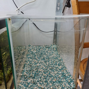 Aquarium 20L equipé sol neutre
