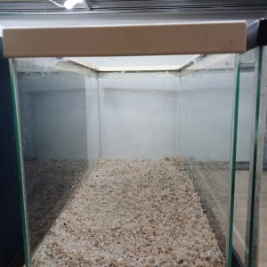 Aquarium 20L equipé complet blanc