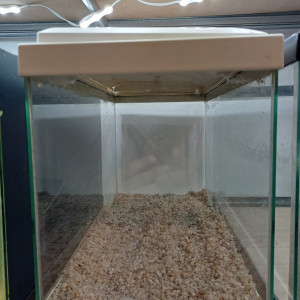 Aquarium 20L equipé blanc sol neutre