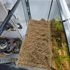 Aquarium 20L equipé complet sol sable de loire