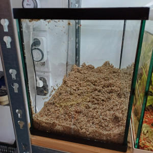 Aquarium 20L equipé complet sol sable de loire