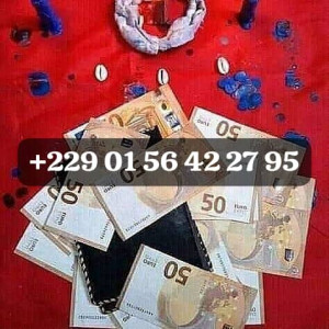 +229 01 56 42 27 95 , VRAI PORTEFEUILLE MAGIQUE EN FRANCE, VRAI PORTE-FEUILLE MAGIQUE A DISTANCE