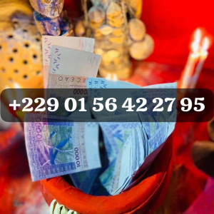 L'UNIQUE SECRET POUR OBTENIR LE VRAI PORTEFEUILLE MAGIQUE EN DOLLARS A DISTANCE +229 01 56 42 27 95