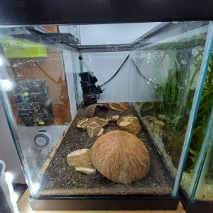 Aquarium 20L equipé et sol technique