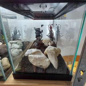 Aquarium 20L sol technique équipé