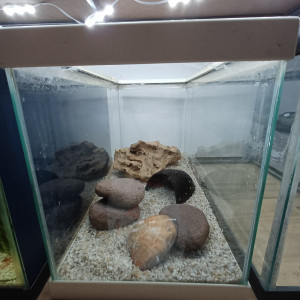 Aquarium 20L equipé blanc sol neutre