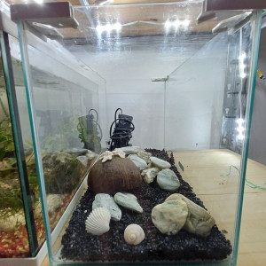 Aquarium 20L equipé sol neutre noir