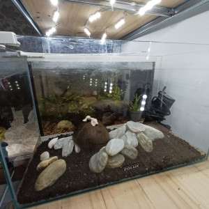 Aquarium 20L equipé sol neutre noir