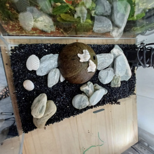 Aquarium 20L equipé sol neutre noir