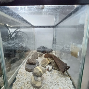 Aquarium 20L sol neutre blanc