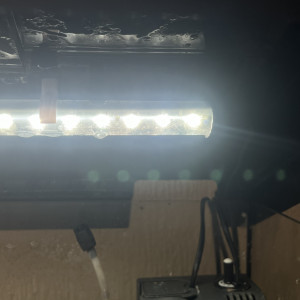 aquarium 60 L + 2 poissons