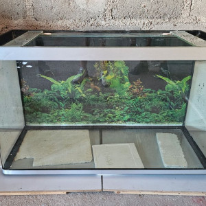 Aquarium OSAKA 260L