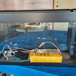 Aquarium 100 L