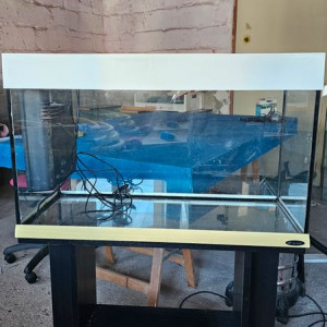 Aquarium 140 L + meuble