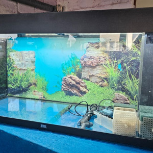 Aquarium 200 L