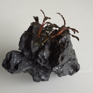 Décoration Quartz gris et Bucéphalandra