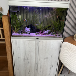 Recherche poissons