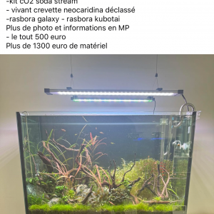 Aquarium