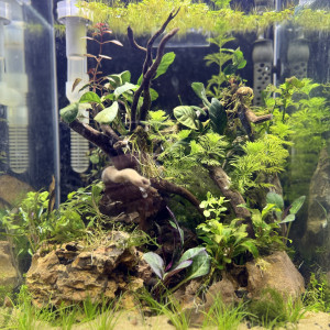 Nano dennerle 30 l