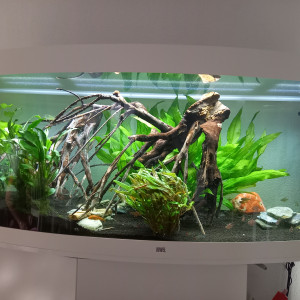 Aquarium Juwel 450L Vision