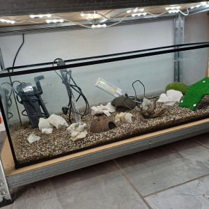 Aquarium 80L equipé
