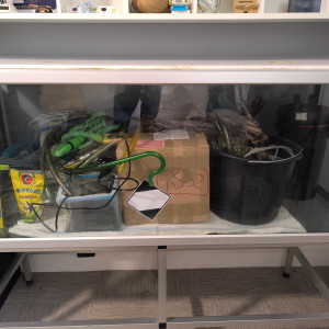 Bonjour, vend aquarium 325L complet + 2 pompe + éclairage, gravier nutritifs etc