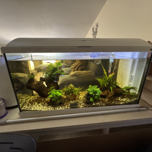 Aquarium complet et accessoires