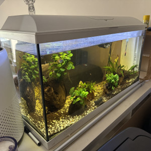 Aquarium complet et accessoires