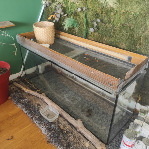 Donne Aquarium 600 litres avec fêlure à réparer