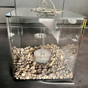 Aquarium Biorb Cube 30 litres tout transparent bords arrondis