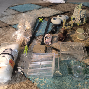 Lots accessoires aquarium pas chère :)