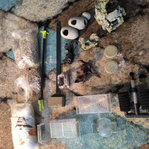 Lots accessoires aquarium pas chère :)