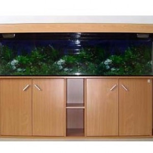 EHPAD CHERCHE DON GRAND AQUARIUM