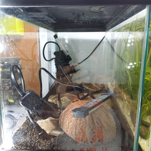 Aquarium noir 20L sol technique et tout équipé